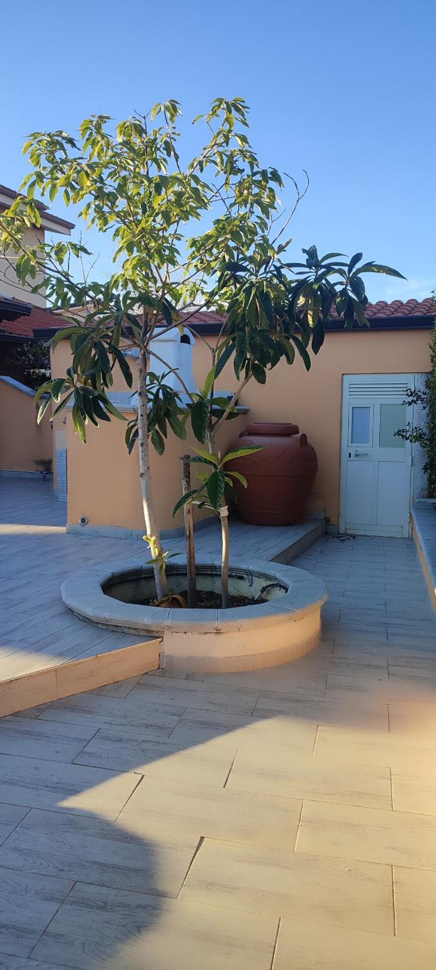 Villetta Aurora Villaggio Porto Ada A 2 Passi Dal Mare ピッツォ エクステリア 写真